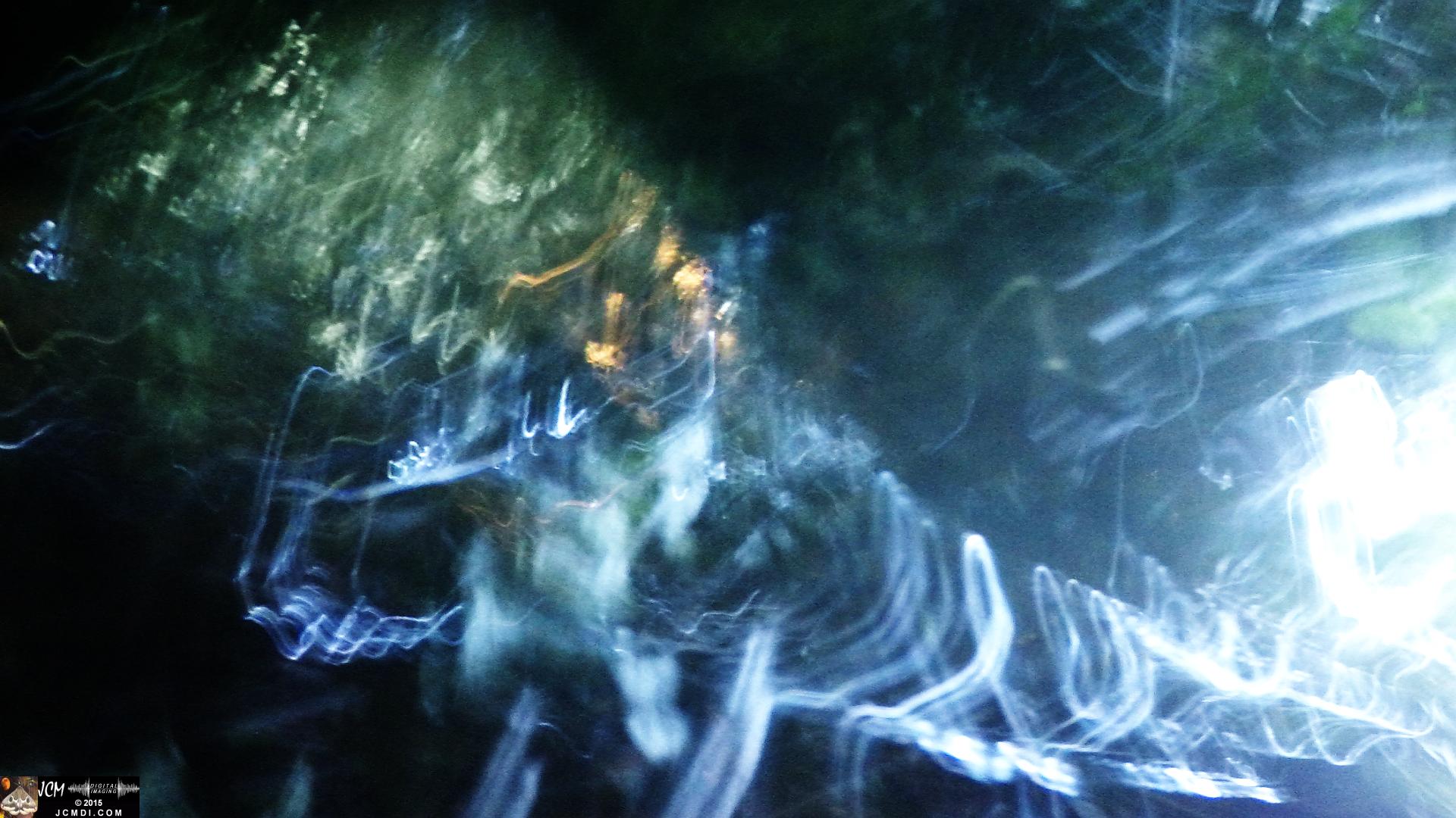 Scrub Jay Nest Time Lapse Hero4 Abstract still